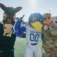 Army Football Preview: Air Force