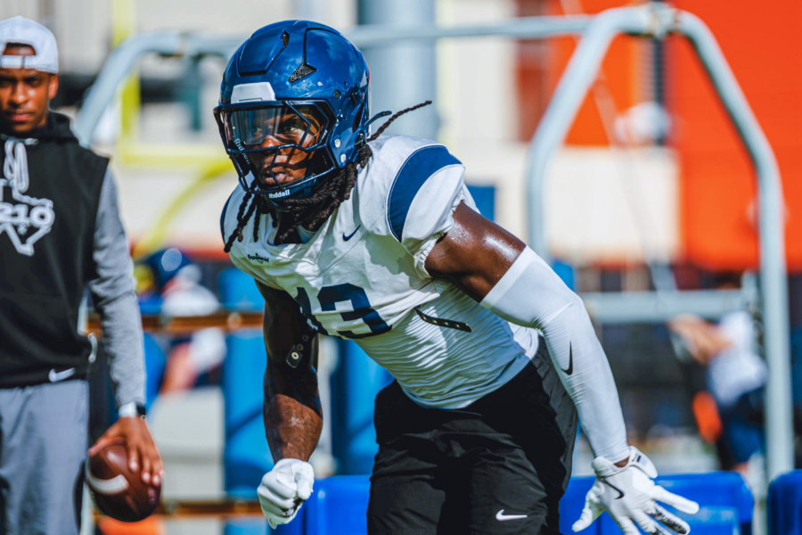 American Conference Preview: The Roadrunners & the Owls
