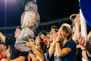 Around the American: Week 3
